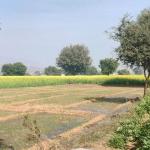 Dilip Karana Farms