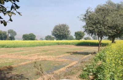 Dilip Karana Farms
