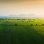 Vikram Gordhanpura Farms