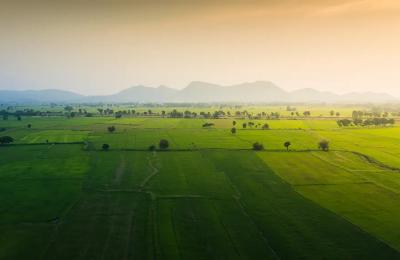 Vikram Gordhanpura Farms